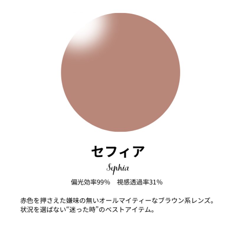 画像8: Fefo　ブラウンデミ (8)