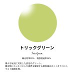 画像6: Djole　マットブラック  (6)