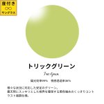 画像6: 【度付き】Djole　ブラウンデミ (6)