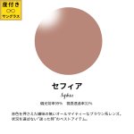 画像8: 【度付き】Djole　ブラウンデミ (8)